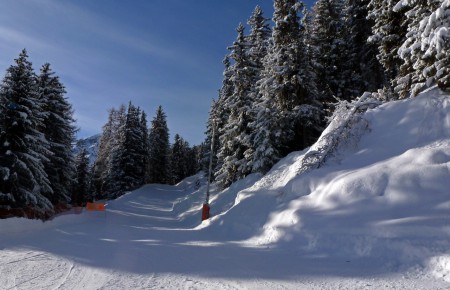 afdaling tussen het bos 